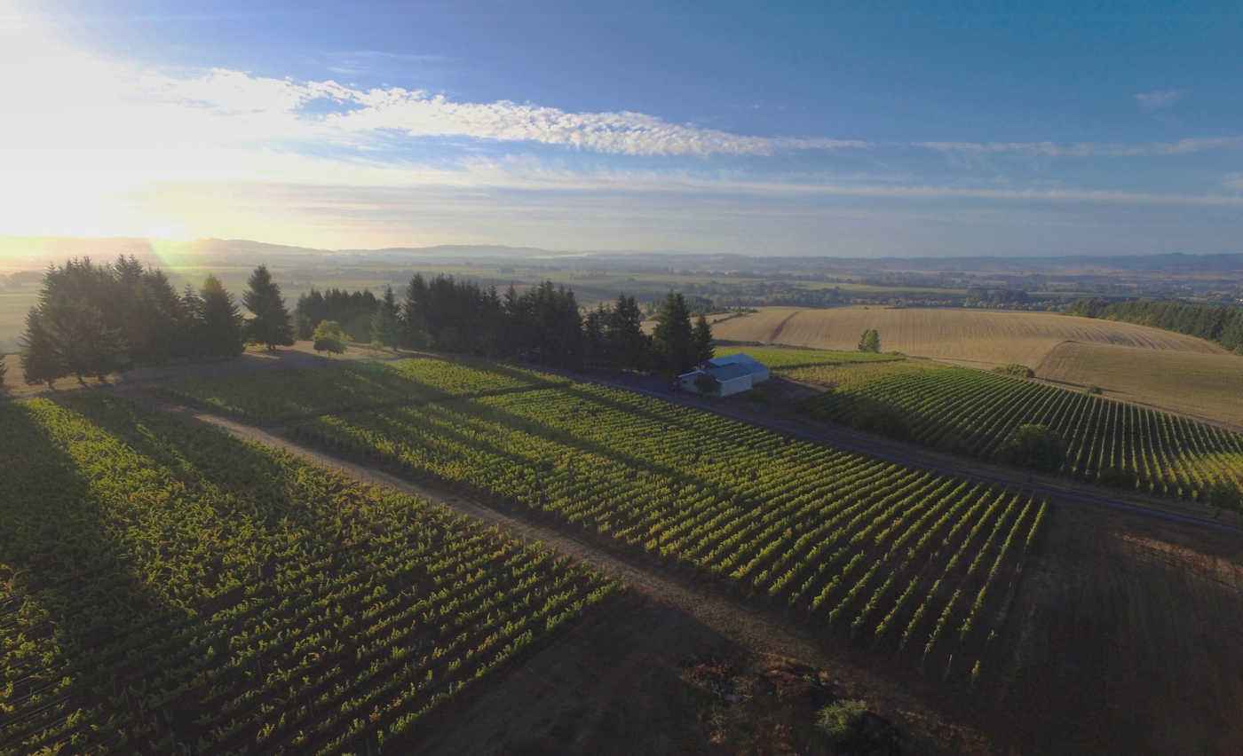 Coleman Vineyard Winery Tasting Room In Mcminnville Or