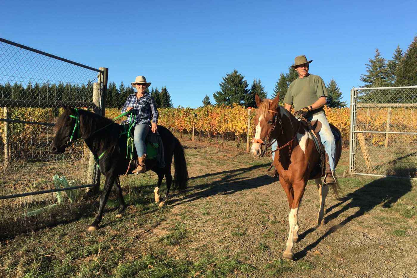 Guests make a visit to the vineyard on horseback