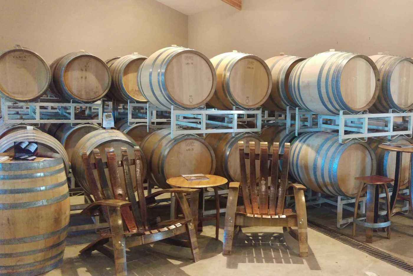 Seating among the wine barrels