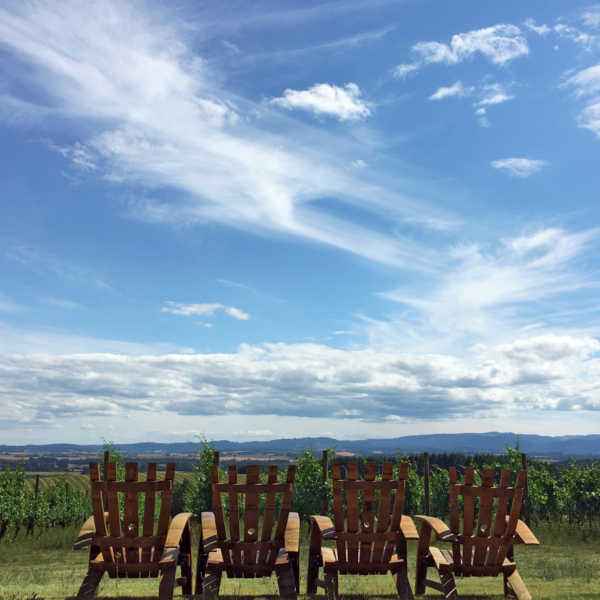 Guest seating facing the vineyard lawn