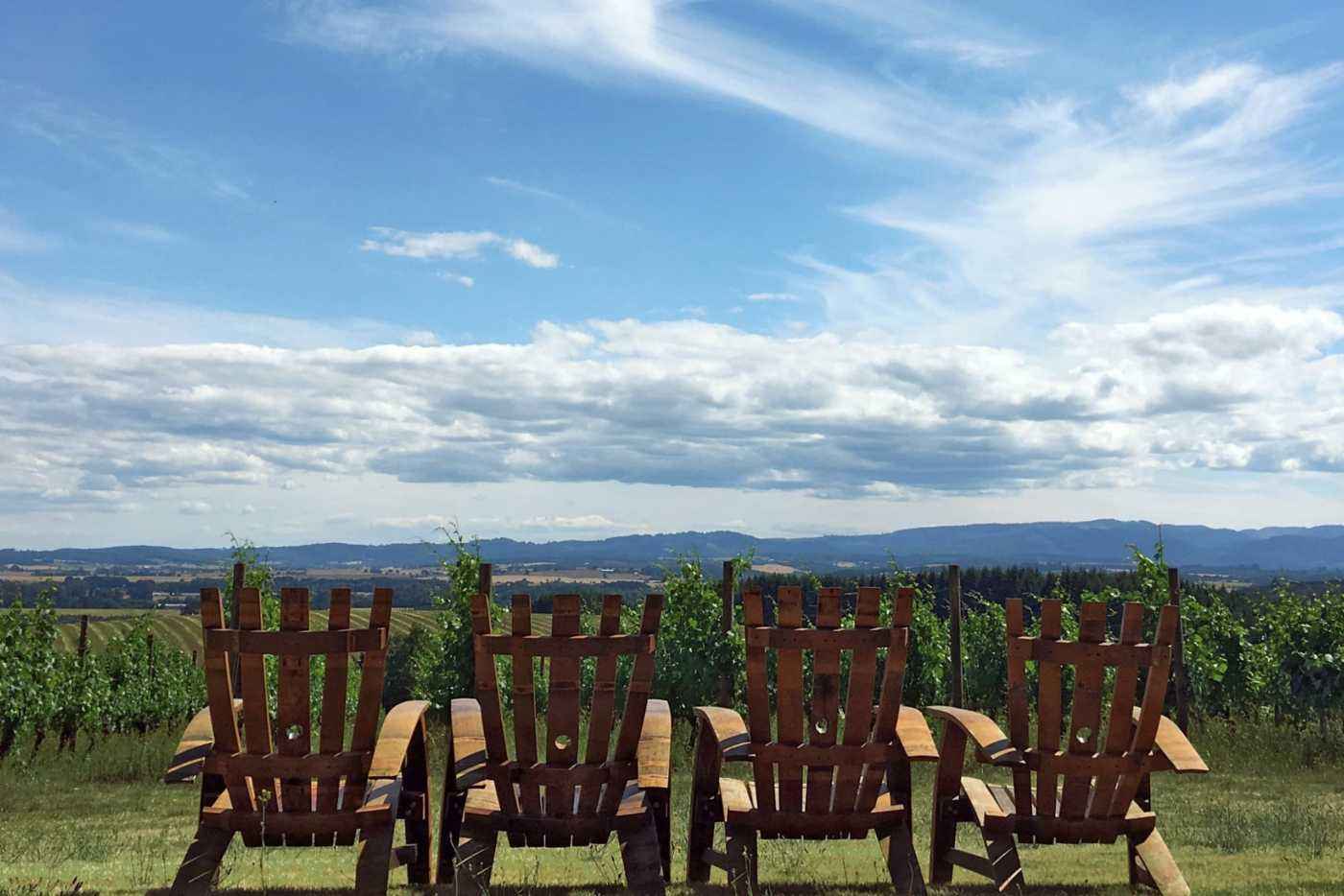 Guest seating facing the vineyard lawn