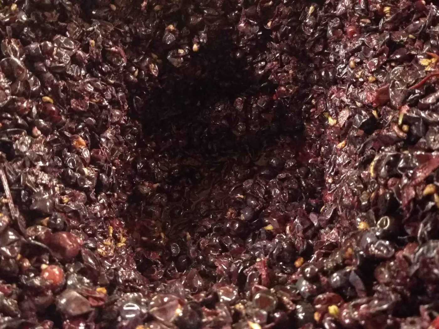 Grape funnel during fermentation punchdowns