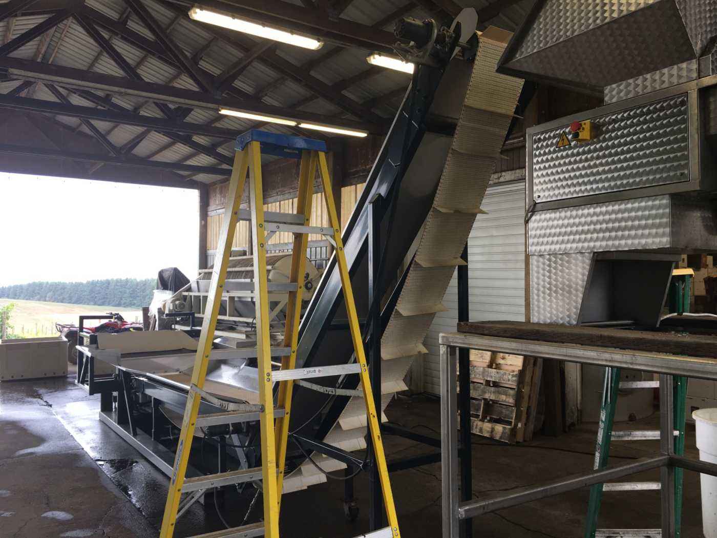 Grape sorting line for Harvest