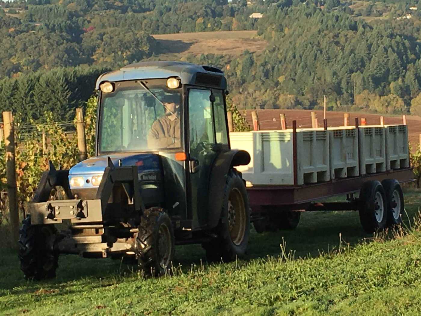 Harvest picking bin driver