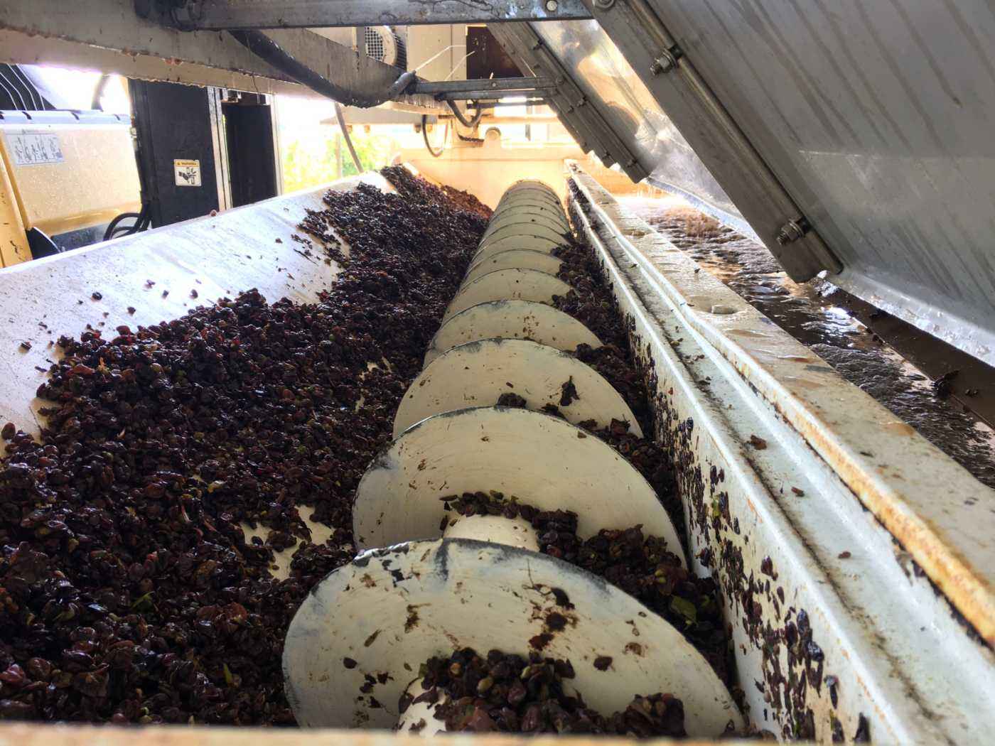 Wine press grape husks