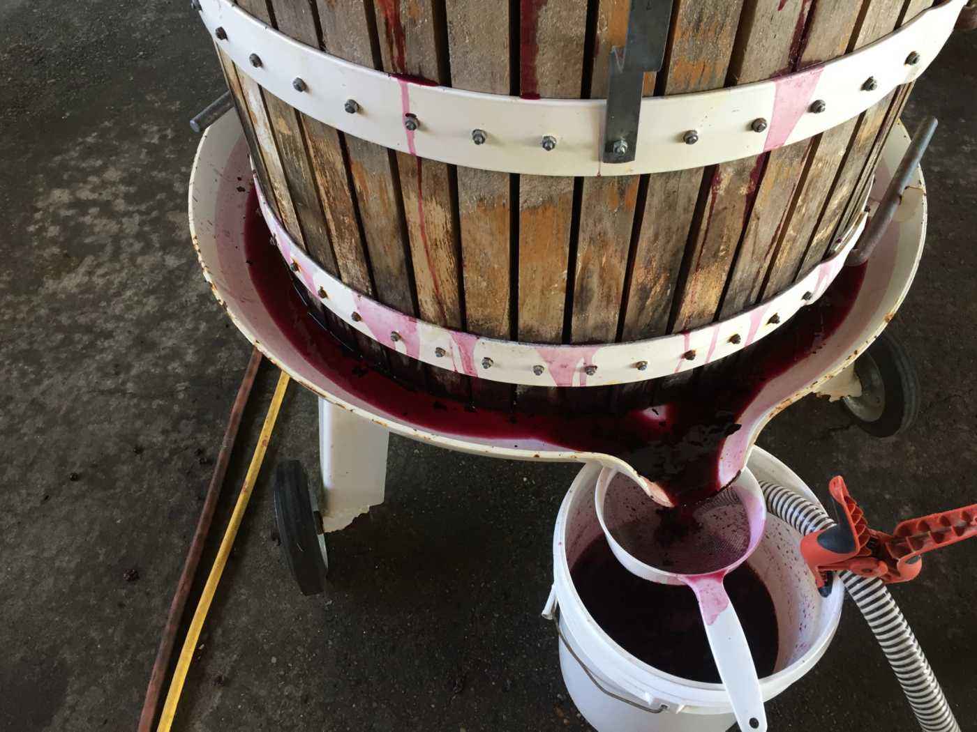 Winemaking with the fruit press