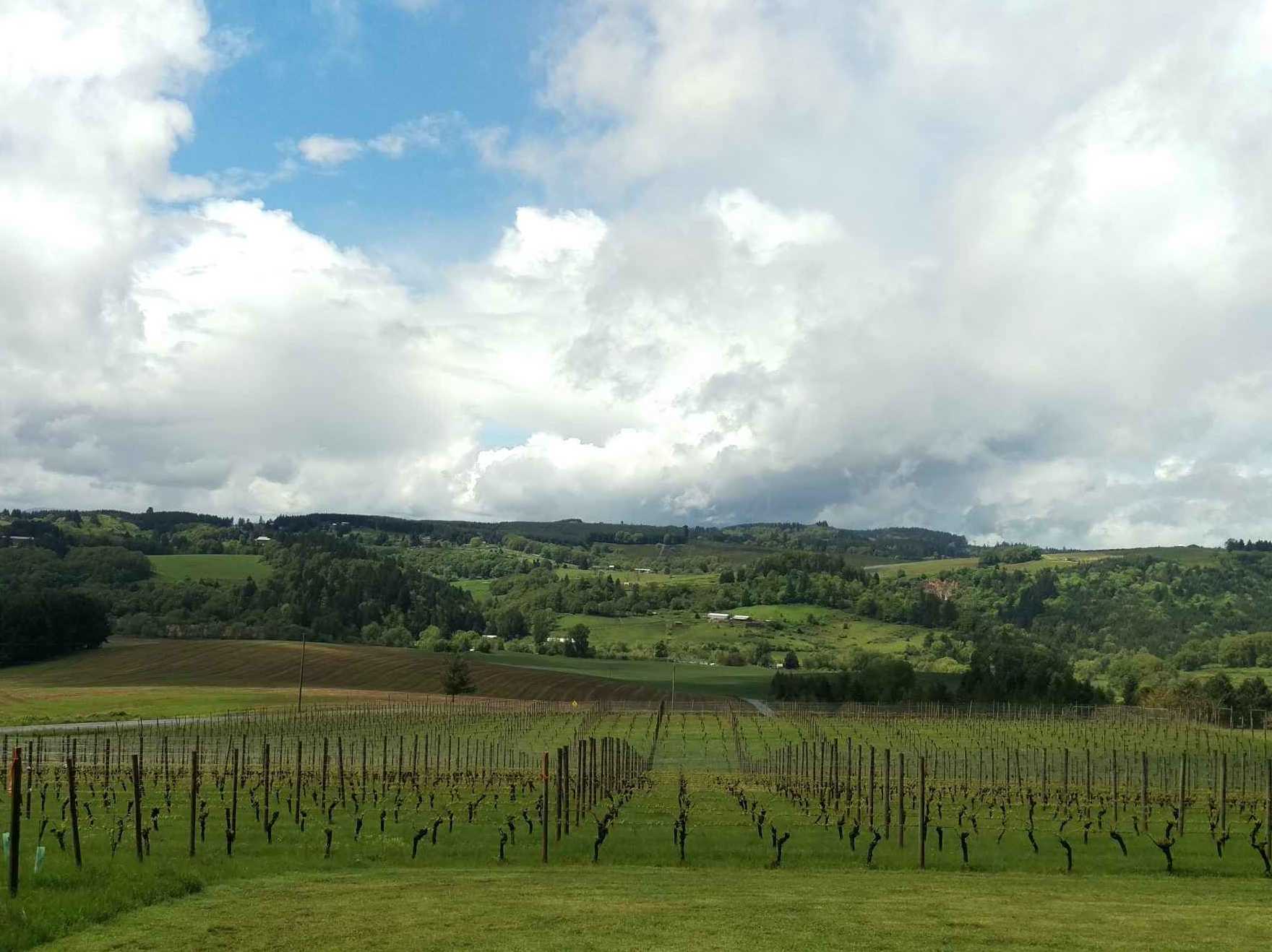 Winery & Vineyard Site Location Information Coleman Vineyard