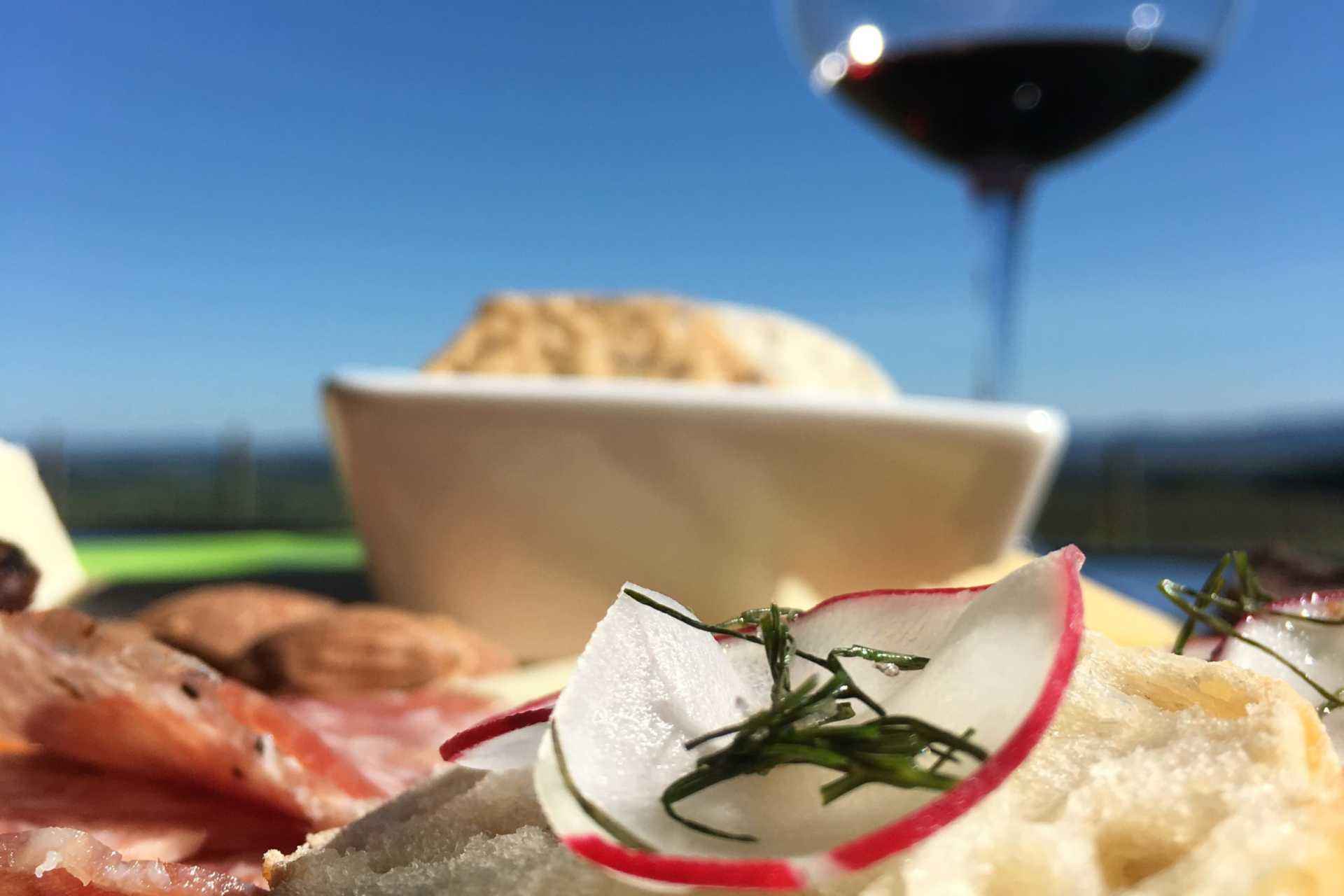 Memorial Weekend 2021 Coleman Vineyard